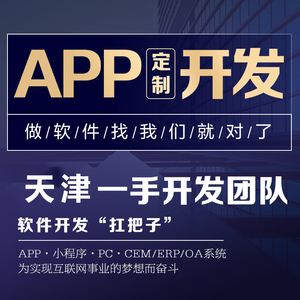 天津電子小程序開發定制(天津電子小程序開發定制產品)